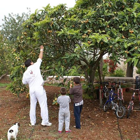 Agroturismo Can Gall Hotel Sant Joan De Labritja Luaran gambar